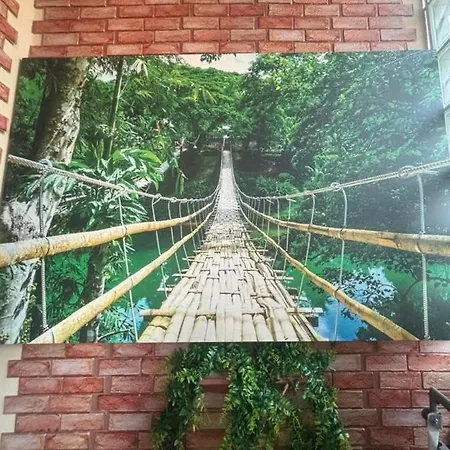 House Garden *